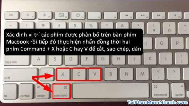 Những phím tắt thông dụng cần biết trên Laptop MacBook cho người mới + Hình 4