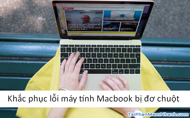 Hướng dẫn khắc phục lỗi Laptop Macbook bị đơ chuột + Hình 1